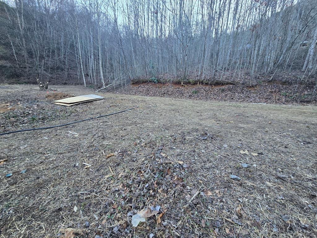 Photo of 321 Mount Keys Dr, Bryson City, NC 28713 (MLS # 26043210)