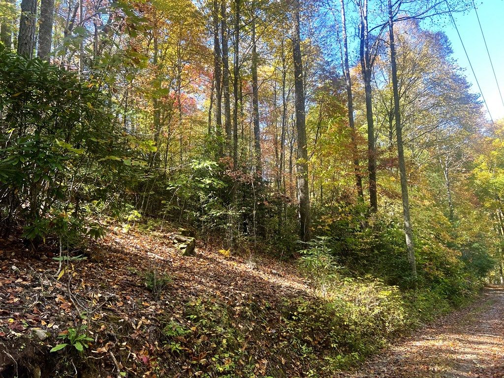 Photo of TBD Off 129 Tallulah Road, Robbinsville (Graham), NC 28771 (MLS # 26042734)