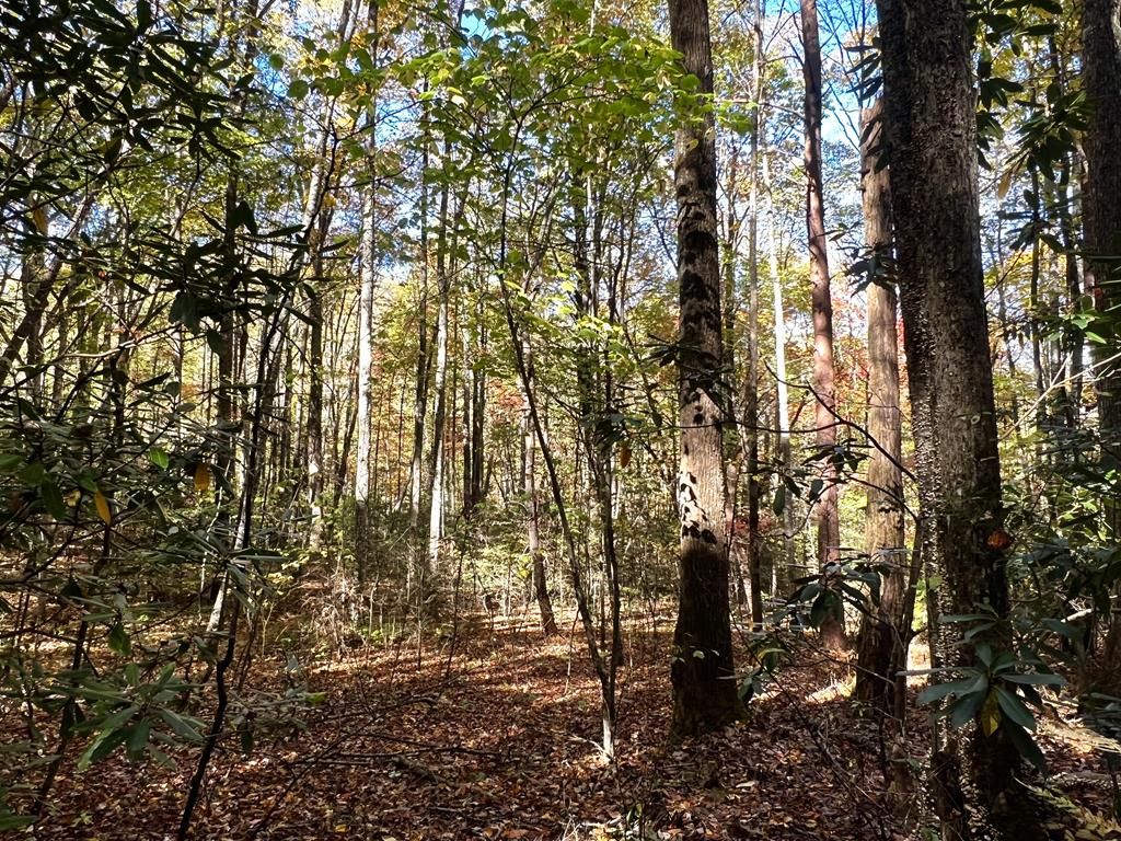 Photo of TBD Off 129 Tallulah Road, Robbinsville (Graham), NC 28771 (MLS # 26042734)