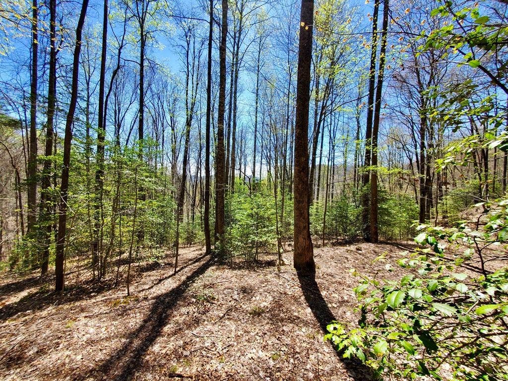 Photo of Lot 9 Hemlock Falls Drive, Sylva, NC 28779 (MLS # 26048026)