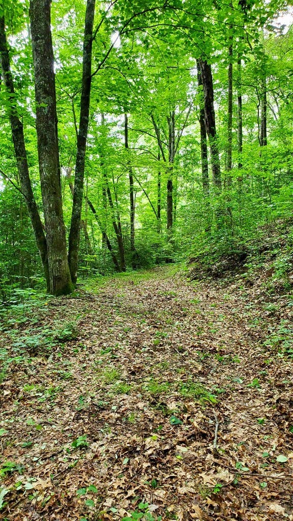 Photo of Lot 9 Hemlock Falls Drive, Sylva, NC 28779 (MLS # 26048026)
