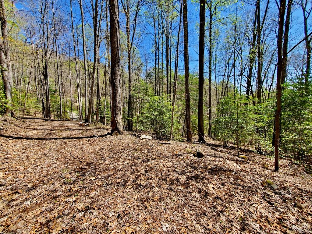 Photo of Lot 9 Hemlock Falls Drive, Sylva, NC 28779 (MLS # 26048026)
