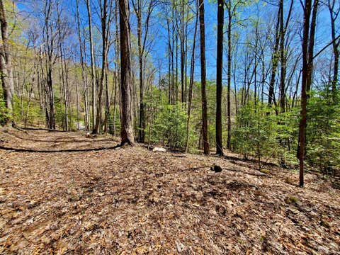 Photo of Lot 9 Hemlock Falls Drive, Sylva, NC 28779 (MLS # 26048026)