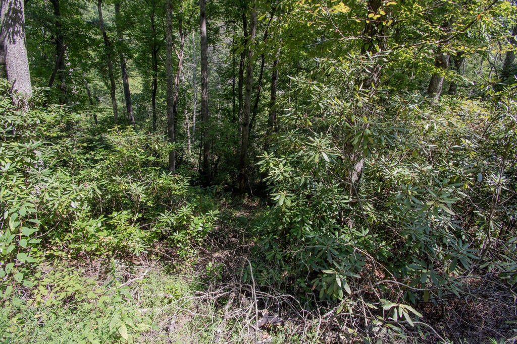 Photo of Lot 8 Snowbird Woods Rd, Robbinsville, NC 28771 (MLS # 26048570)