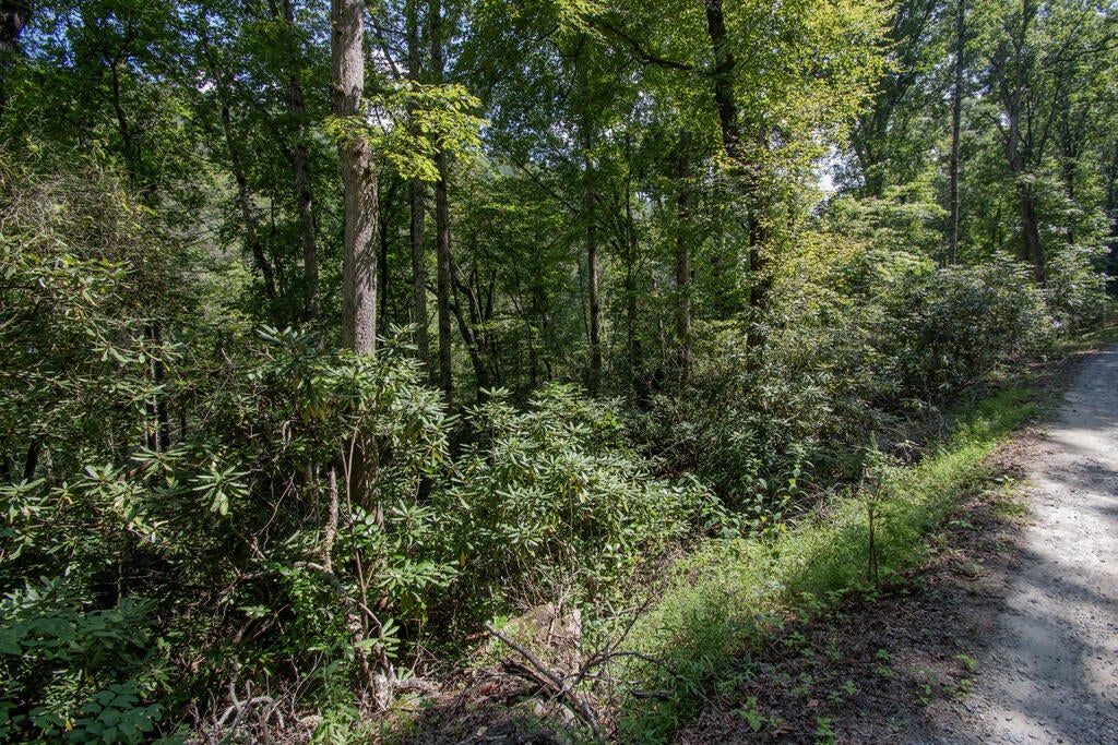 Photo of Lot 8 Snowbird Woods Rd, Robbinsville, NC 28771 (MLS # 26048570)