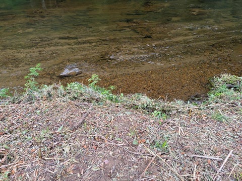 Photo of 00 Riverbend Rd, Cullowhee, NC 28723 (MLS # 26047978)