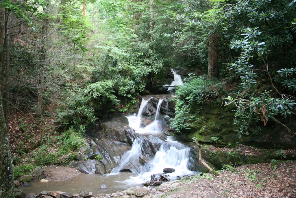 1000 Cane Creek Rd