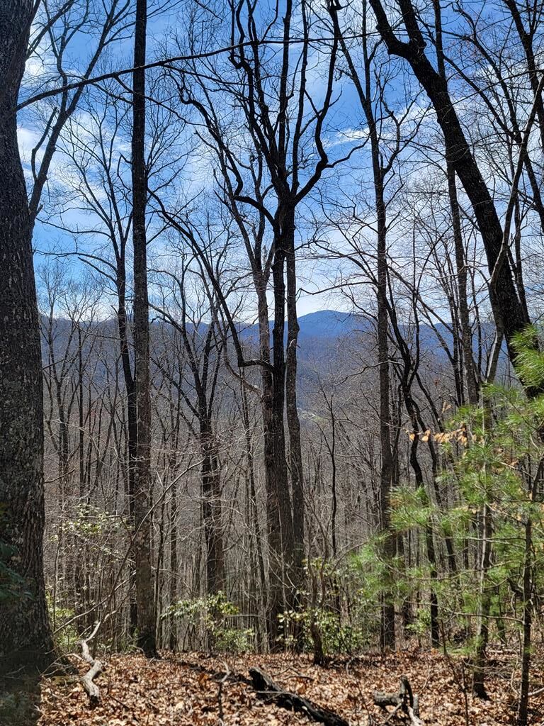 00 Watson Cove Rd.