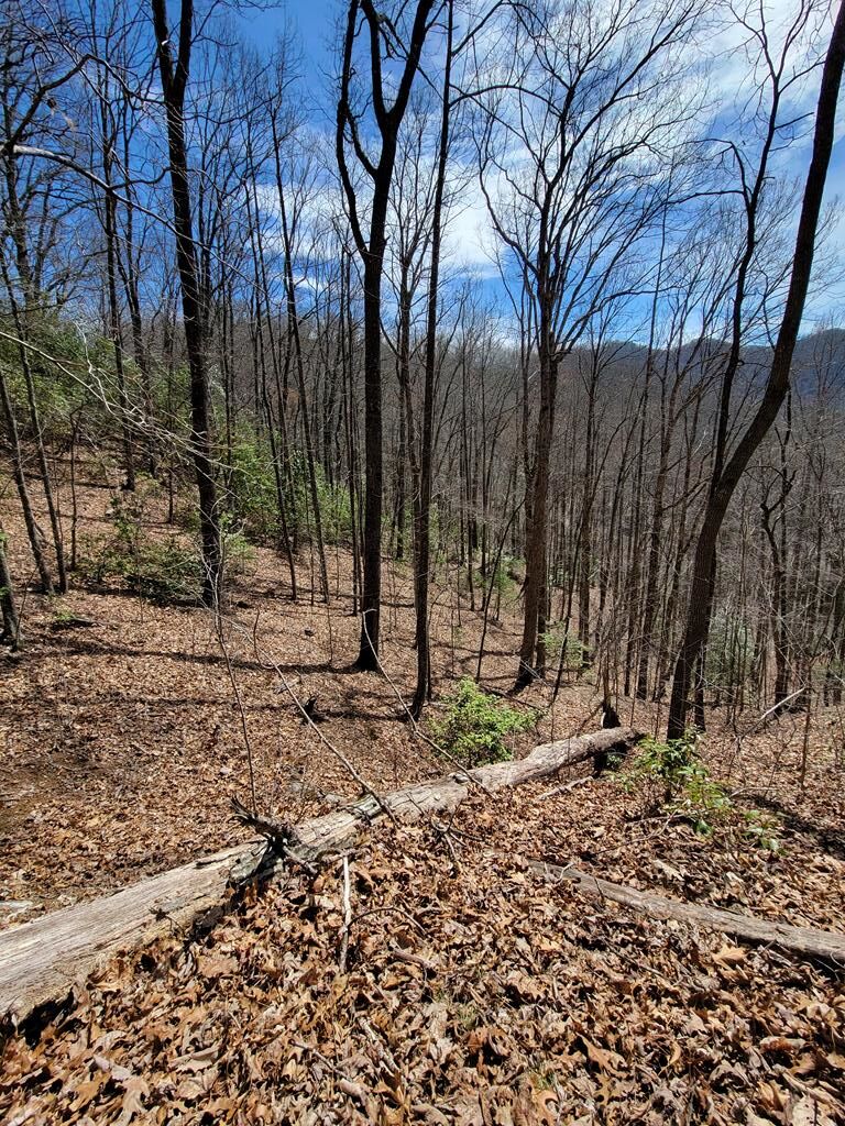00 Watson Cove Rd.