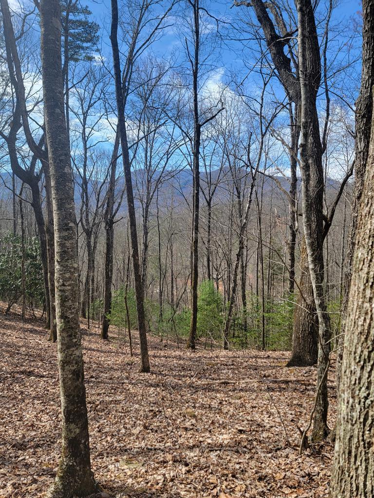 00 Watson Cove Rd.