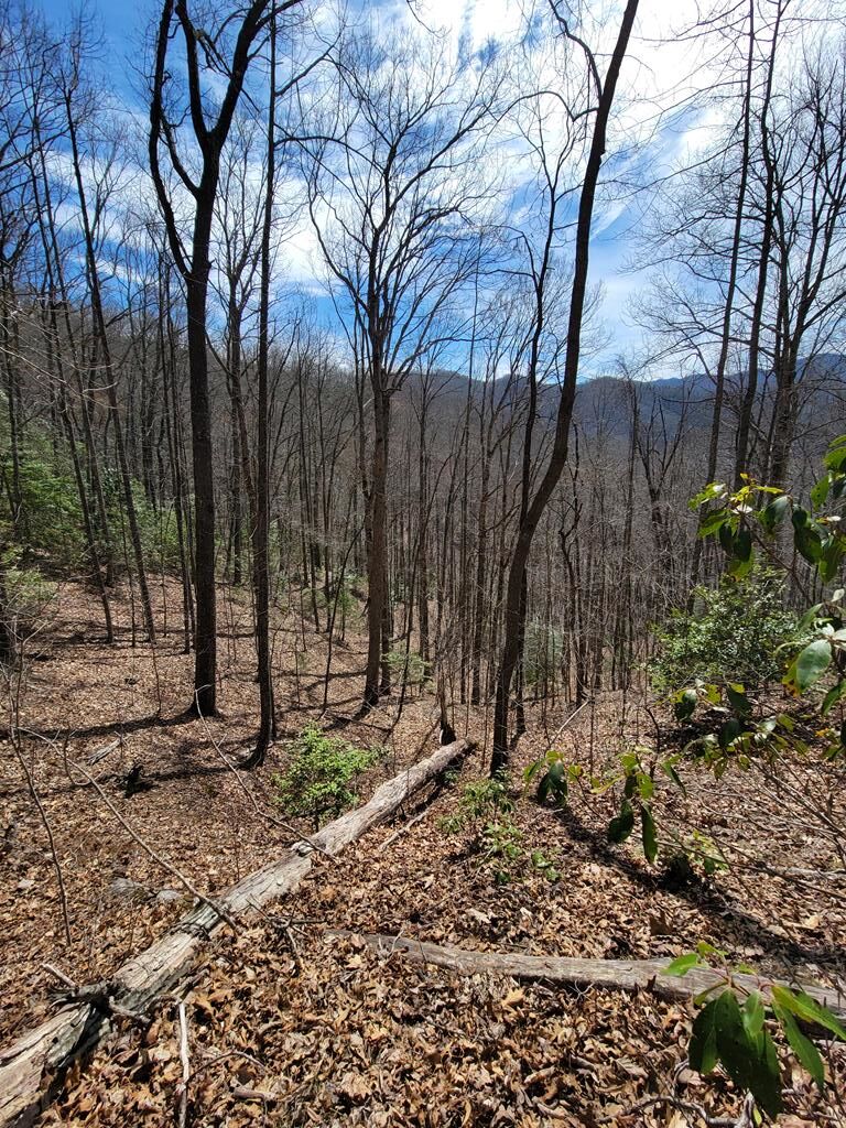 00 Watson Cove Rd.
