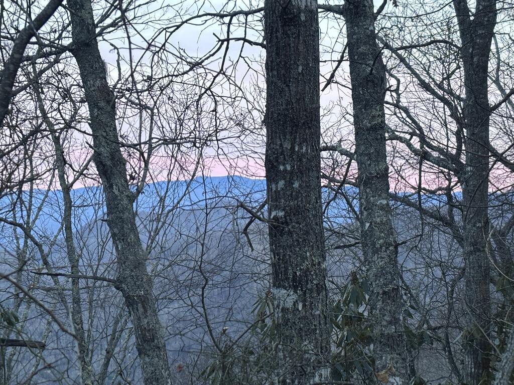Photo of 0 Cowee Mountain, Bryson City, NC 28713 (MLS # 26048415)