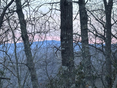 Photo of 0 Cowee Mountain, Bryson City, NC 28713 (MLS # 26048415)