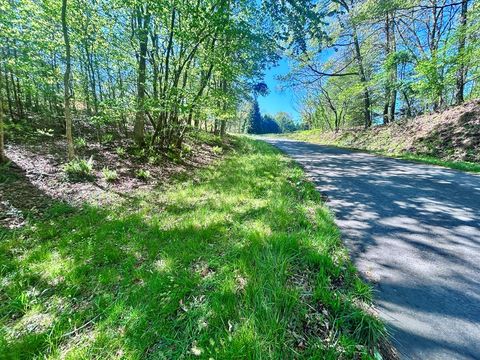 Photo of 160 Mcgaha Rd, Franklin, NC 28734 (MLS # 26046973)