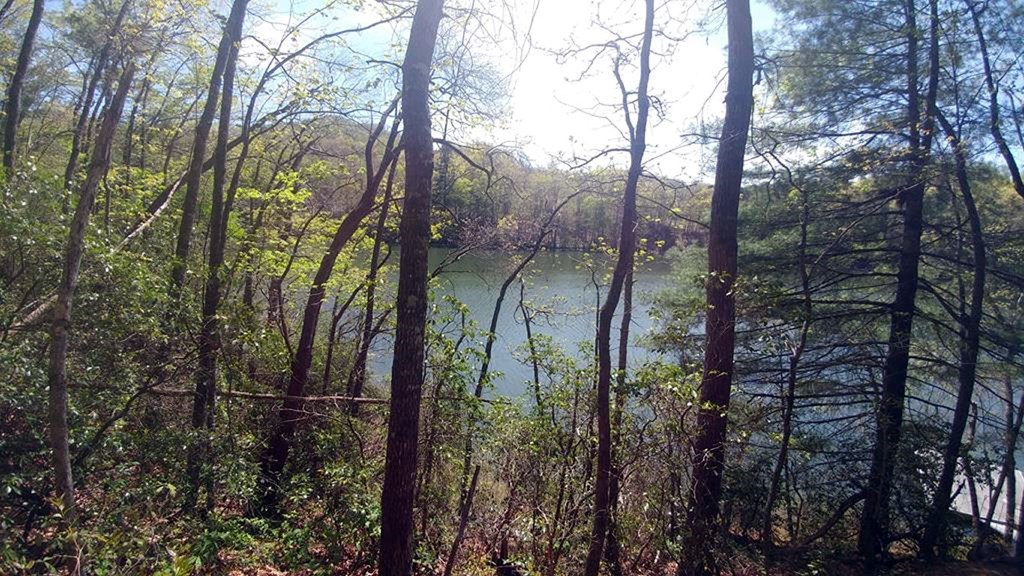 Lot 5 Dars Lane