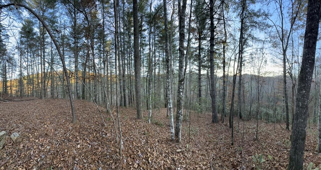 Photo of 0 Sky Ridge Dr, Bryson City, NC 28713 (MLS # 26039261)