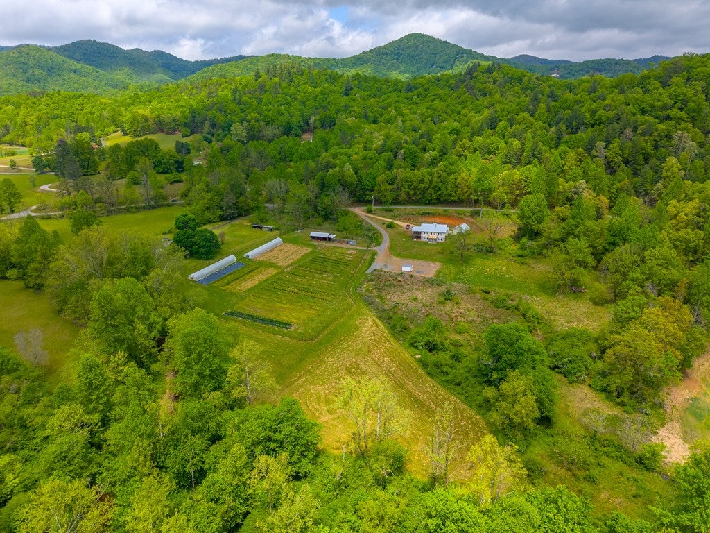 1168 Carl Slagle Road