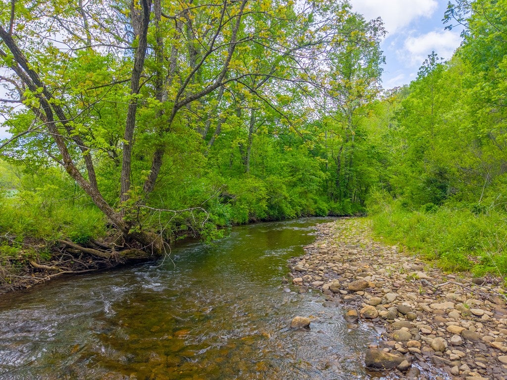 1168 Carl Slagle Road