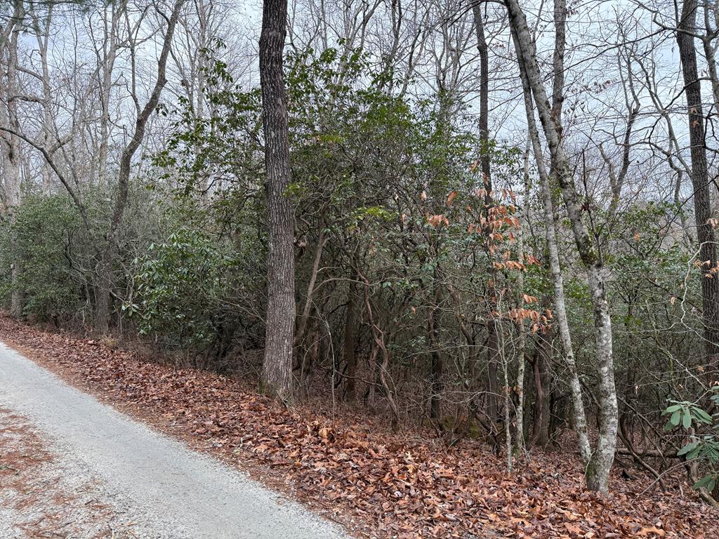 Lot 24 Ideal Acres