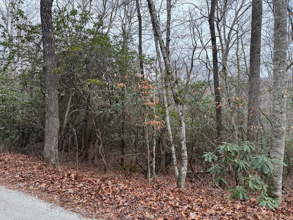 Lot 24 Ideal Acres