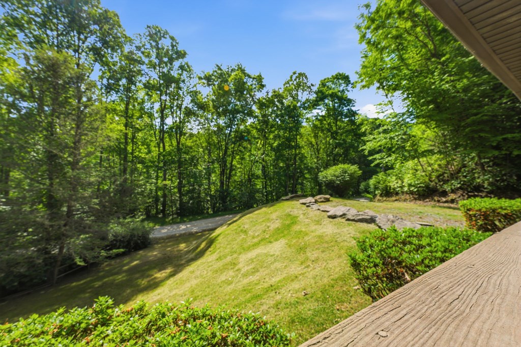2786 Blanton Branch
