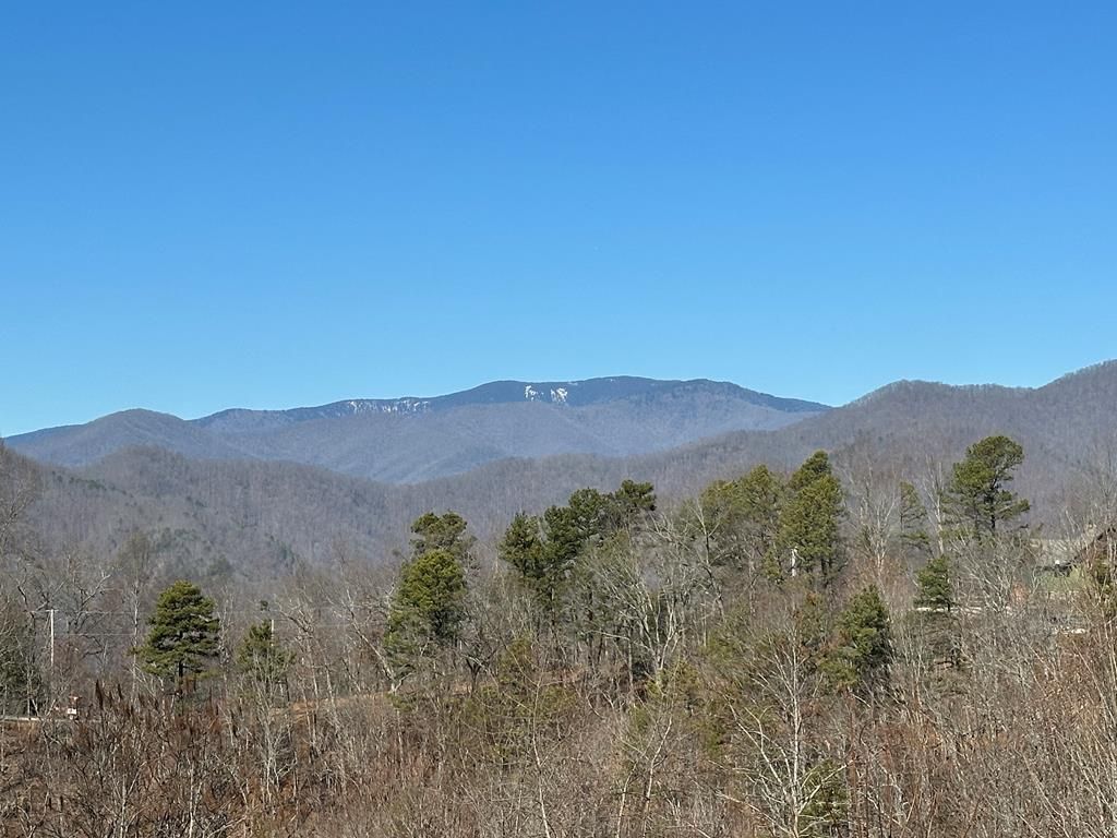 Photo of 785 Fontana Ridge Road, Bryson City, NC 28713 (MLS # 26046712)