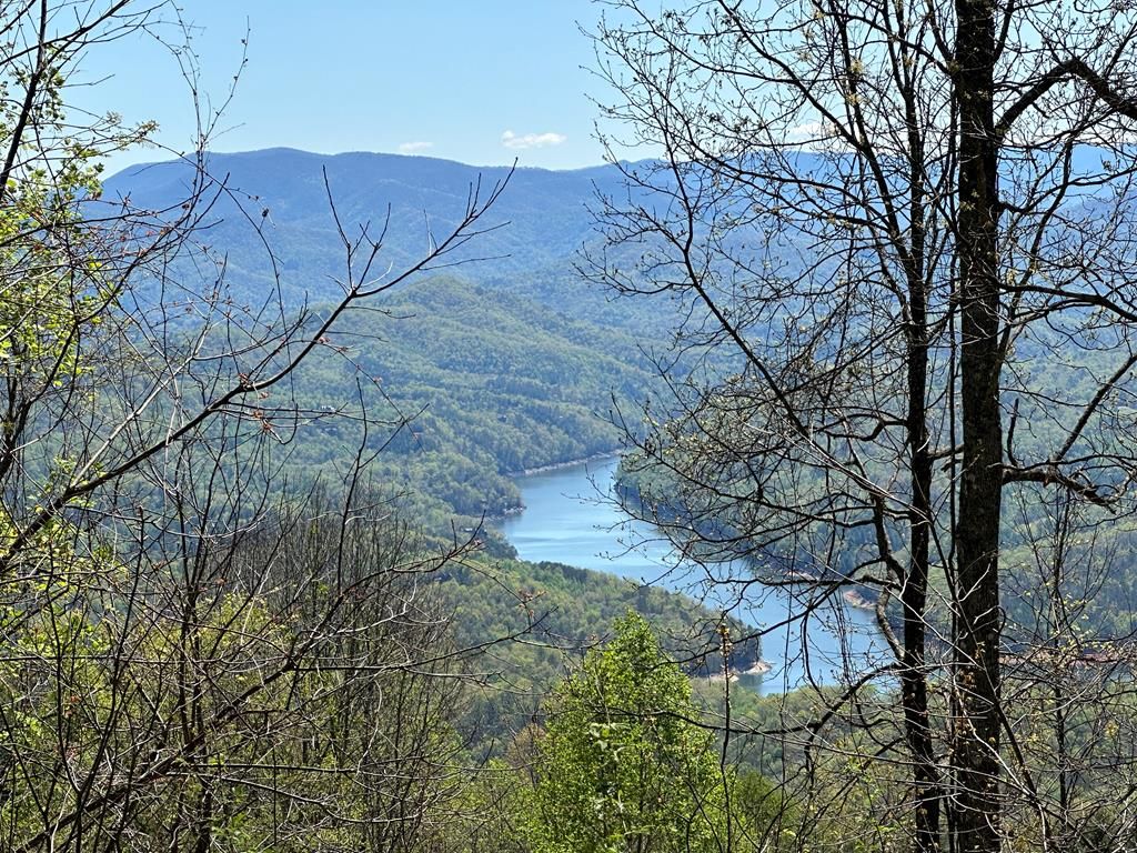 Photo of 52 Walnut Gap, Almond, NC 28702 (MLS # 26037674)