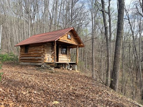 Photo of 33 Snow Hill Falls Circle, Franklin, NC 28734 (MLS # 26046868)
