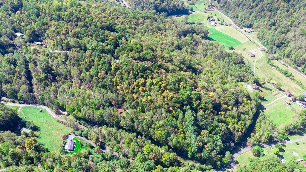 Photo of 494 Lazy Lane, Whittier, NC 28789 (MLS # 26042376)