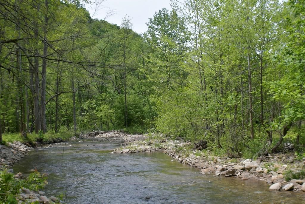 Photo of 0 Caney Fork Rd, Cullowhee, NC 28723 (MLS # 26047233)