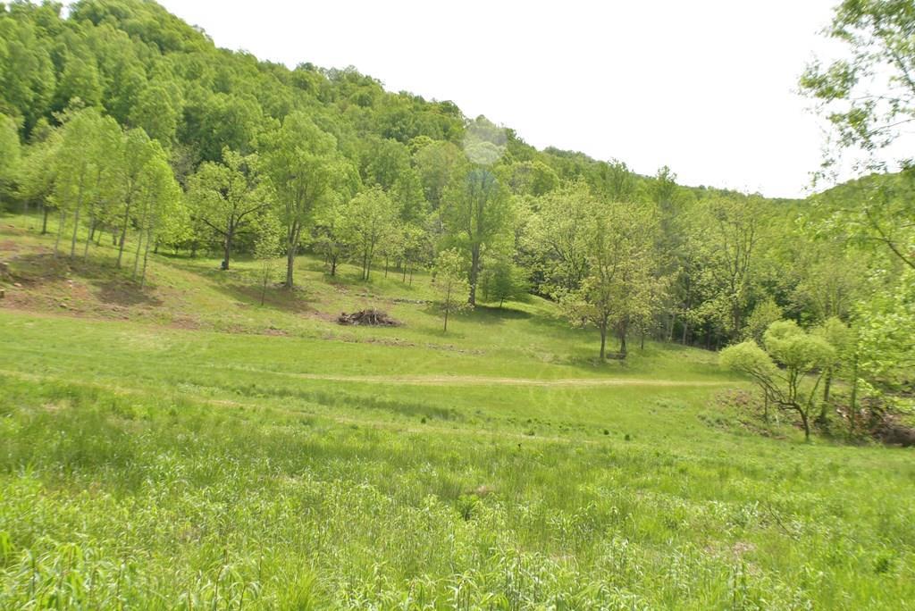 8200 Caney Fork Rd
