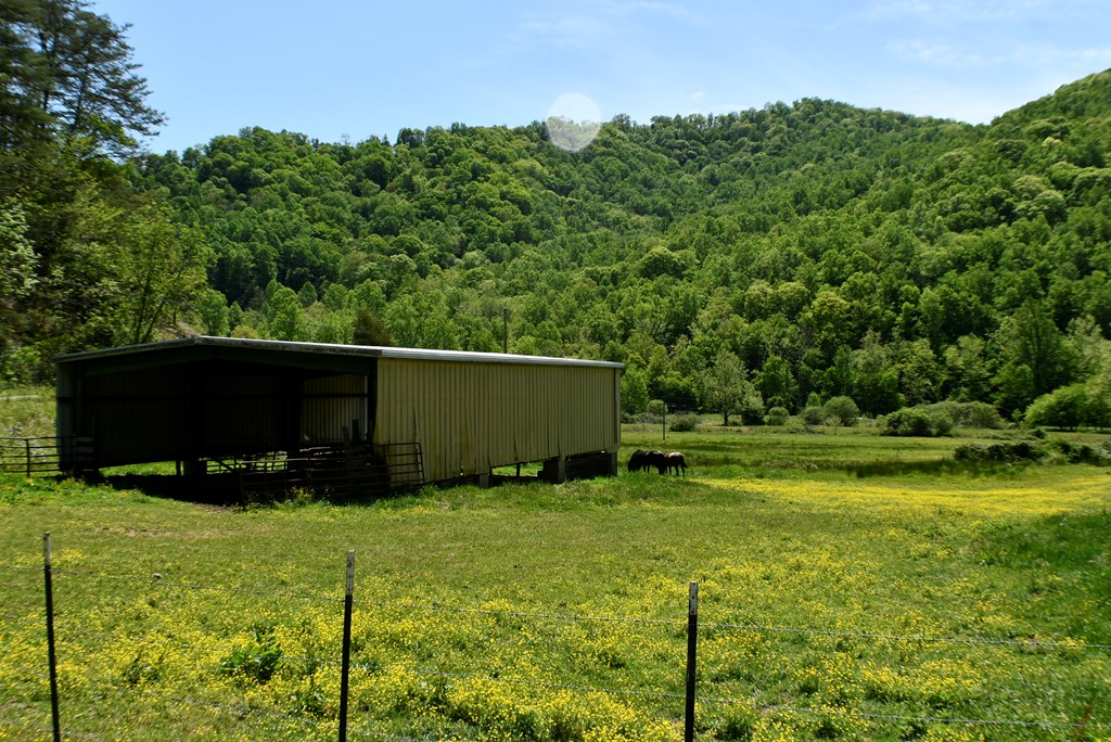 8200 Caney Fork Rd