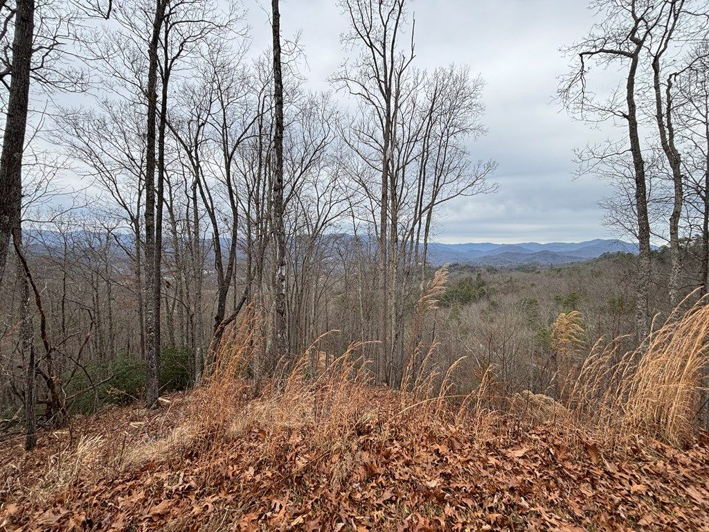 Photo of 999 Breedlove Road, Bryson City, NC 28713 (MLS # 26043052)