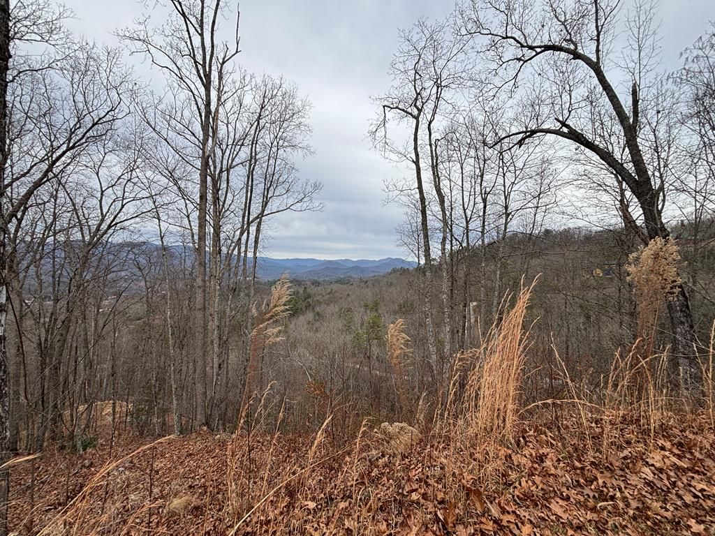 Photo of 999 Breedlove Road, Bryson City, NC 28713 (MLS # 26043052)