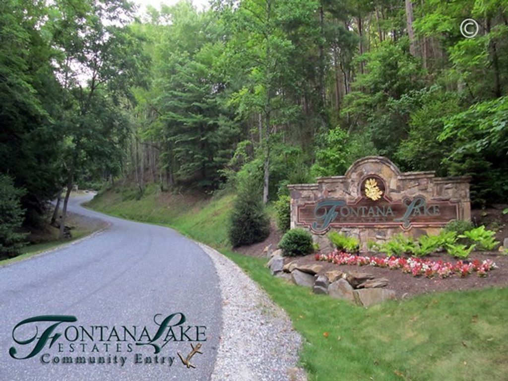 Photo of 96-2 Wild Orchid Trail, Bryson City, NC 28713 (MLS # 26035240)