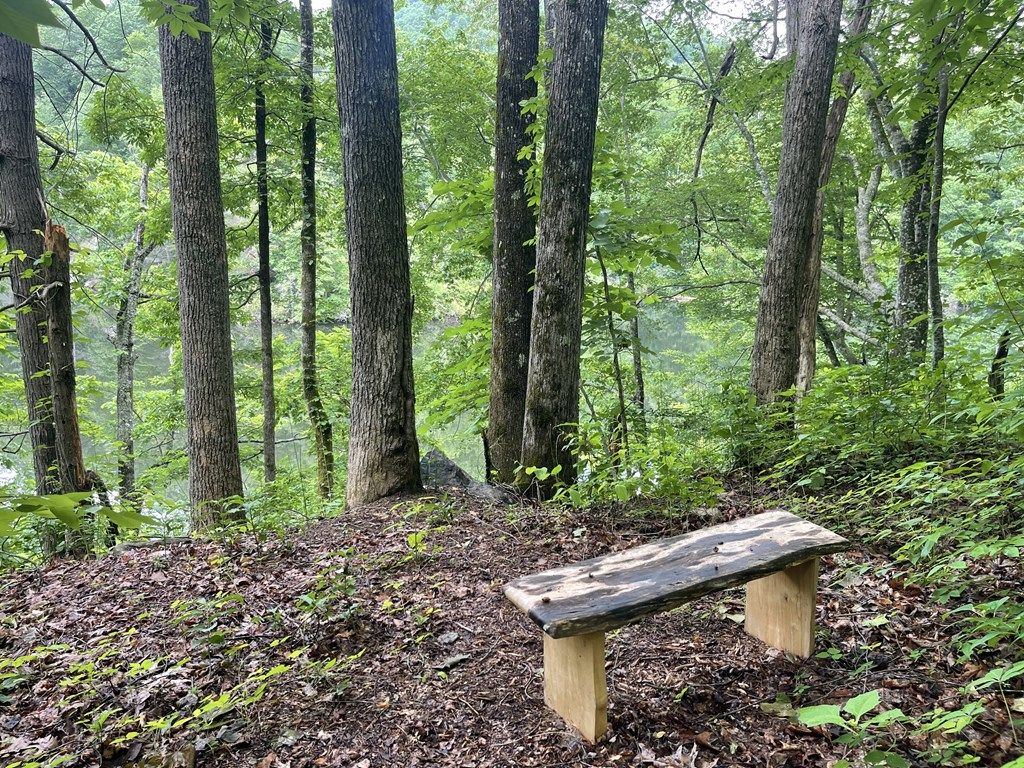 Photo of 350 Sweet Birch Lane, Tuckasegee, NC 28783 (MLS # 26041074)