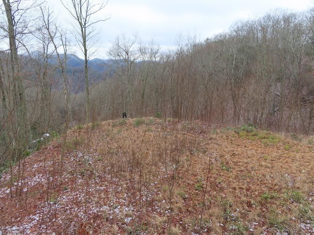 Photo of Lot 92 Alarka Highlands, Bryson City, NC 28713 (MLS # 26039709)