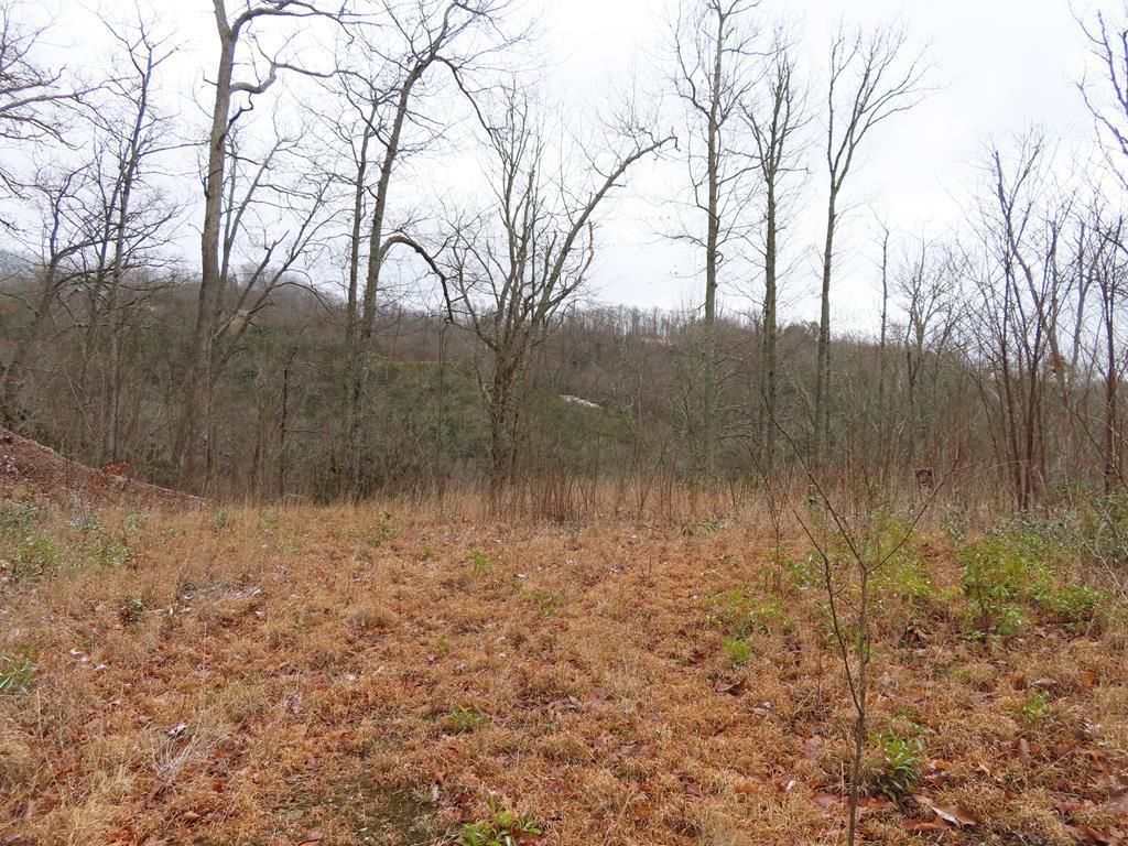 Photo of Lot 92 Alarka Highlands, Bryson City, NC 28713 (MLS # 26039709)