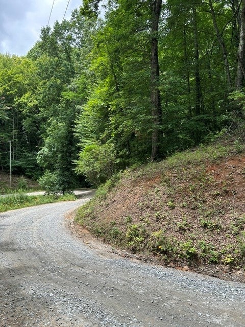 0 Tract 4a Coman Rd