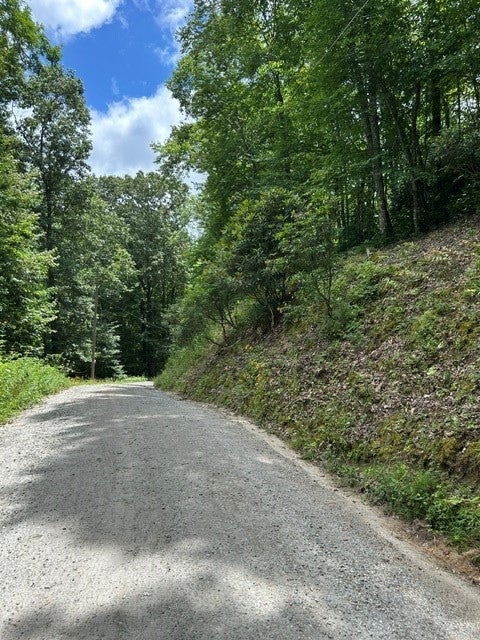 0 Tract 4a Coman Rd