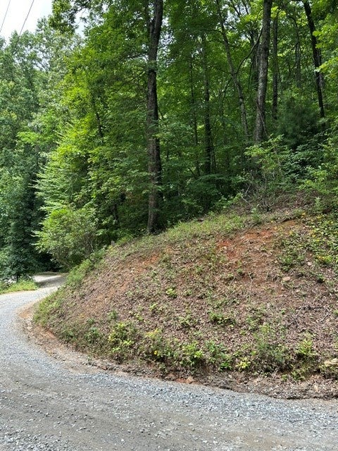 0 Tract 4a Coman Rd