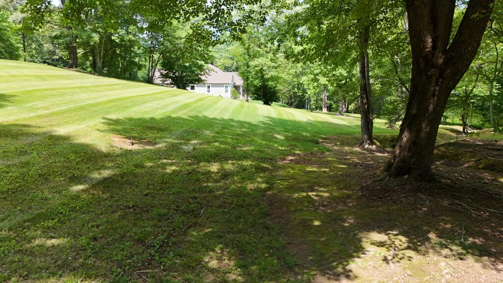 Photo of 85 Swallowtail Ln, Whittier, NC 28789 (MLS # 26048448)