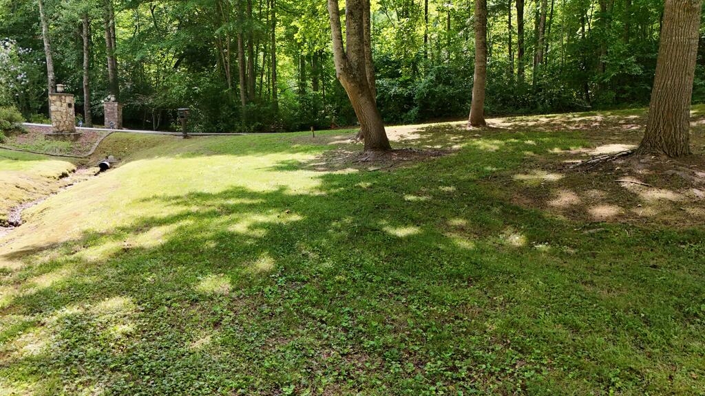 Photo of 85 Swallowtail Ln, Whittier, NC 28789 (MLS # 26048448)