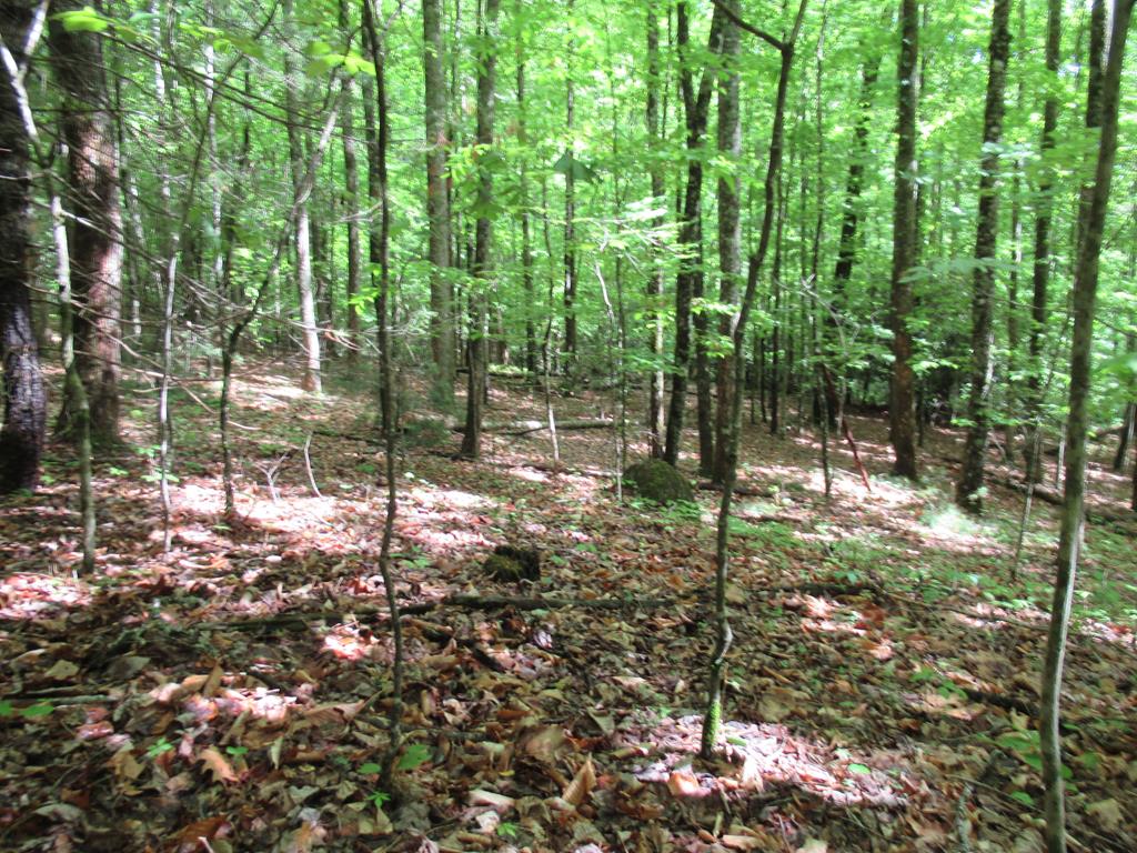 00 Hickory Gap Rd