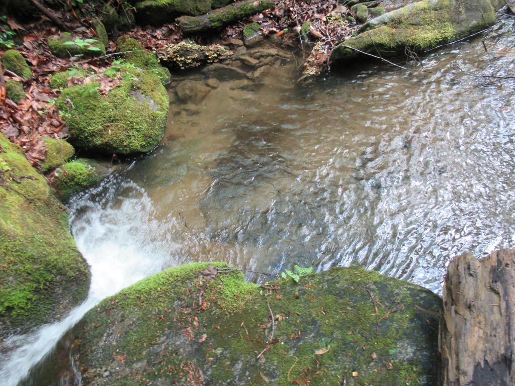 00 Hickory Gap Rd