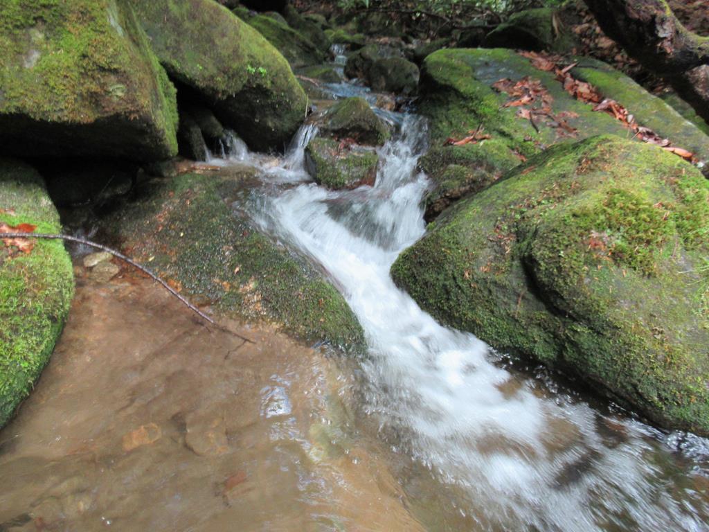 00 Hickory Gap Rd