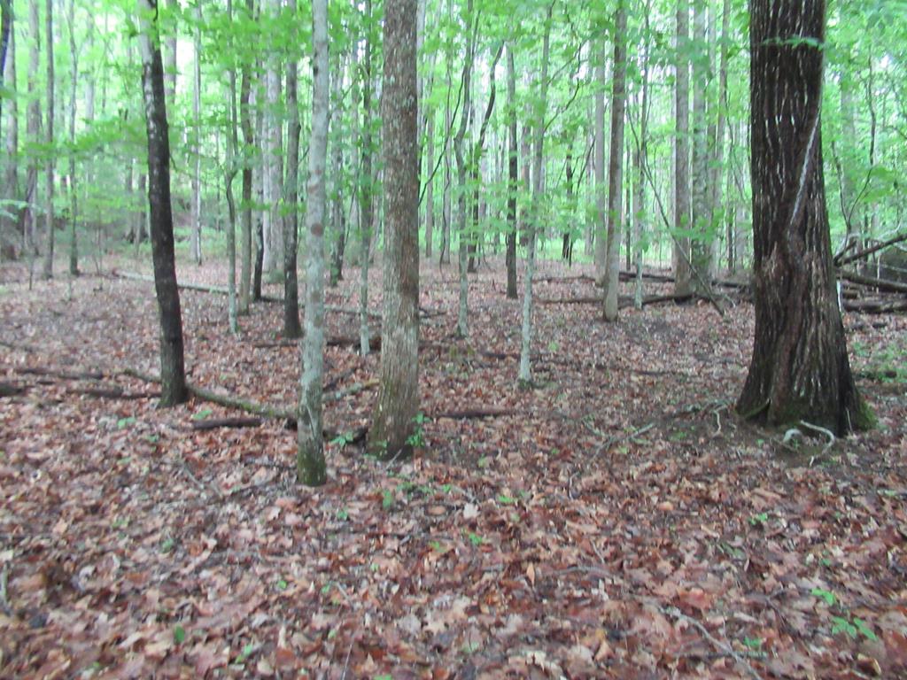 00 Hickory Gap Rd