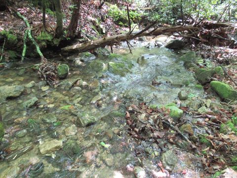 Photo of 00 Hickory Gap Rd, Otto, NC 28763 (MLS # 26047218)