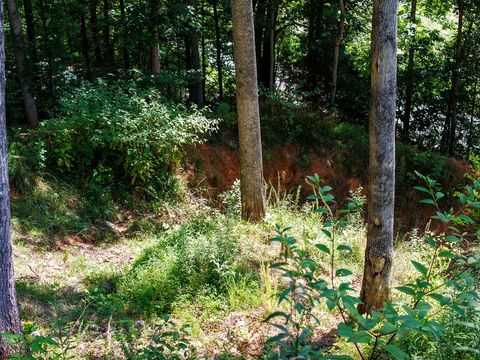 Photo of Lot 9 Kimberly Lane, Franklin, NC 28734 (MLS # 26041536)