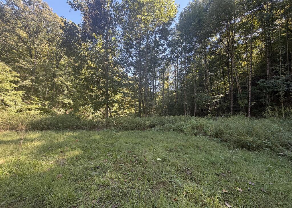 Photo of 0 Watia Rd, Almond, NC 28702 (MLS # 26048629)